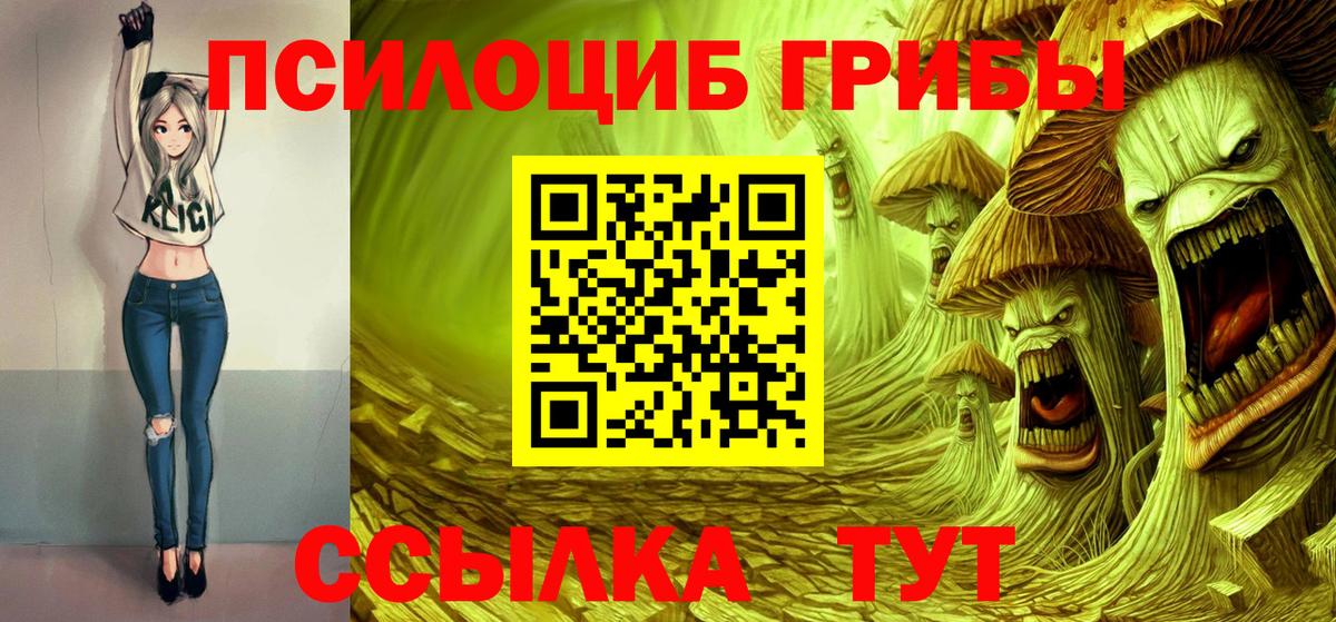 Кинель  Галлюциногенные грибы Magic Shrooms  Псилоцибиновые грибы Psilocybine cubensis  Вход с VPN 